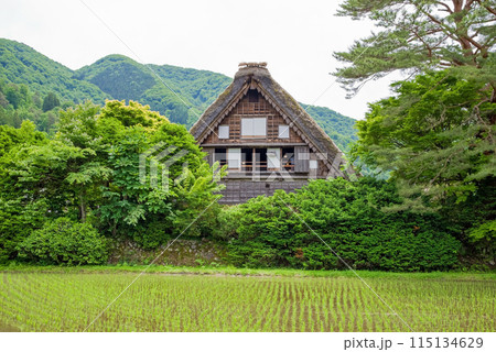 世界遺産　白川郷　合掌造り集落　初夏シーズン　和田家 115134629