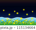 ホタル 115134664