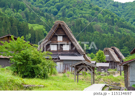 世界遺産　白川郷　合掌造り集落　初夏シーズン　 115134697