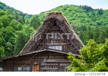 世界遺産　白川郷　合掌造り集落　初夏シーズン　 115134718