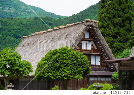 世界遺産 白川郷 合掌造り集落 初夏シーズン 世界遺産 白川郷 合掌造り集落 初夏シーズン 115134733