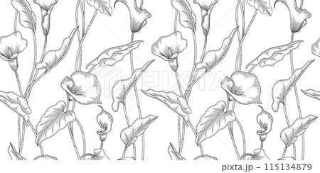 Calla lily floral pattern black and white illustration 115134879