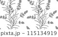 lavender floral pattern black and white illustration 115134919