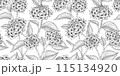 hydrangea floral pattern black and white illustration 115134920