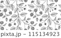 raspberry fruit pattern black and white illustration 115134923