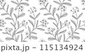 plumeria floral pattern black and white illustration 115134924
