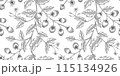 Tomato pattern black and white illustration 115134926