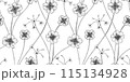 oxalis floral pattern black and white illustration 115134928