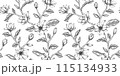 magnolia floral pattern black and white illustration 115134933