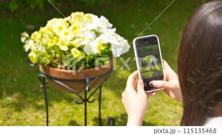 スマホで花の写真を撮る若い女性の後ろ姿 115135468