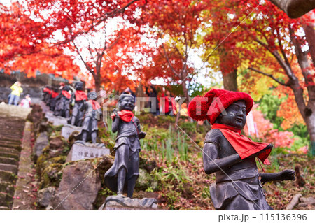 神奈川県伊勢原市　大山寺の仏像と紅葉 115136396
