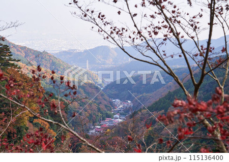 神奈川県伊勢原市 こま参道と大山の紅葉 神奈川県伊勢原市 こま参道と大山の紅葉 115136400