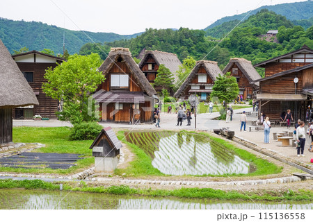 世界遺産 白川郷 合掌造り集落 田植えシーズン 世界遺産 白川郷 合掌造り集落 田植えシーズン 115136558