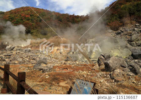 秋の雲仙地獄の邪見地獄の風景 ( 11月 / 長崎県 雲仙市 ) 秋の雲仙地獄の邪見地獄の風景 ( 11月 / 長崎県 雲仙市 ) 115136687