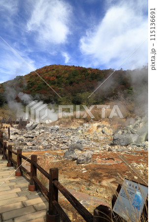 秋の雲仙地獄の邪見地獄の風景 ( 11月 / 長崎県 雲仙市 ) 秋の雲仙地獄の邪見地獄の風景 ( 11月 / 長崎県 雲仙市 ) 115136691
