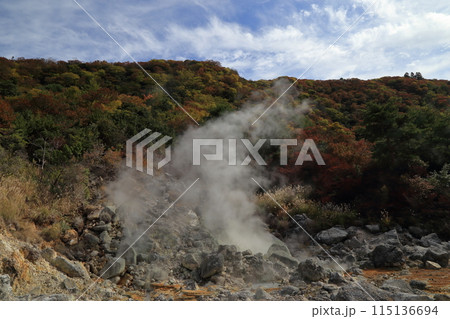 秋の雲仙地獄の邪見地獄の風景 ( 11月 / 長崎県 雲仙市 ) 秋の雲仙地獄の邪見地獄の風景 ( 11月 / 長崎県 雲仙市 ) 115136694