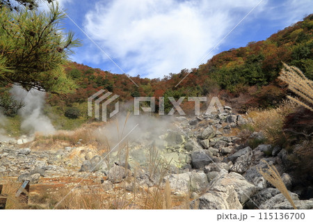 秋の雲仙地獄の邪見地獄の風景 ( 11月 / 長崎県 雲仙市 ) 秋の雲仙地獄の邪見地獄の風景 ( 11月 / 長崎県 雲仙市 ) 115136700