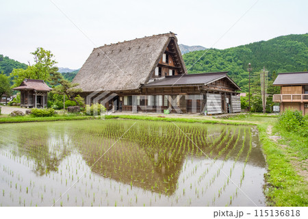 世界遺産　白川郷　合掌造り集落　田植えシーズン　神田家 115136818