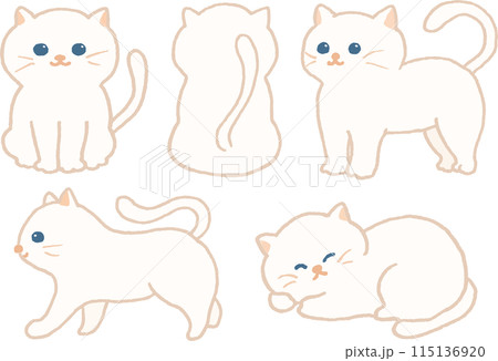 いろいろなポーズの白い猫のイラストセット 115136920