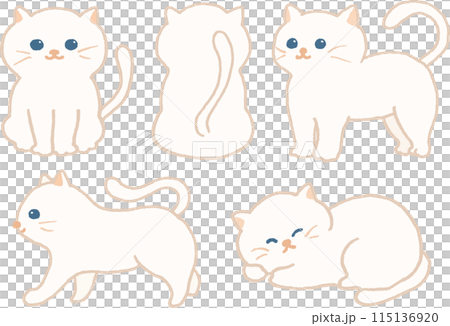 いろいろなポーズの白い猫のイラストセット 115136920