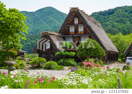 世界遺産　白川郷　合掌造り集落　花の季節 115137092