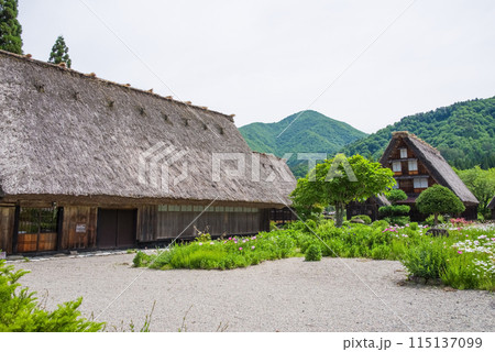 世界遺産 白川郷 合掌造り集落 花の季節 世界遺産 白川郷 合掌造り集落 花の季節 115137099