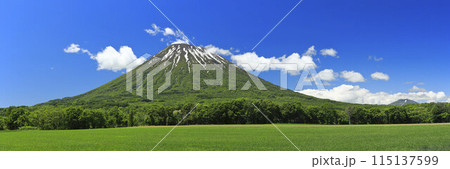 北海道京極町京極から望む羊蹄山とニセコアンヌプリ 北海道京極町京極から望む羊蹄山とニセコアンヌプリ 115137599