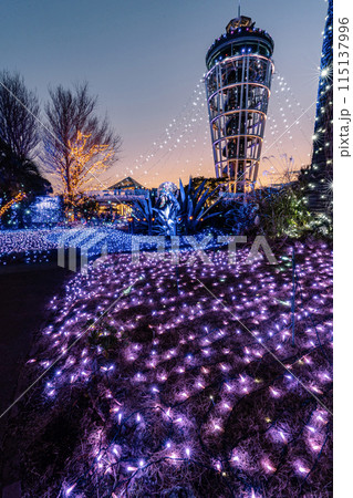 夕焼けと江の島イルミネーション 夕焼けと江の島イルミネーション 115137996