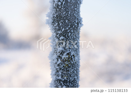 Closeup of frozen tree covered with frost on the winter morning 115138133