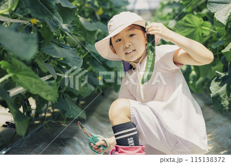 野菜の収穫を楽しむ子供 野菜の収穫を楽しむ子供 115138372