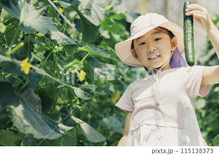 野菜の収穫を楽しむ子供 野菜の収穫を楽しむ子供 115138373