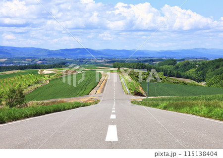 初夏の北海道美瑛町の風景 初夏の北海道美瑛町の風景 115138404
