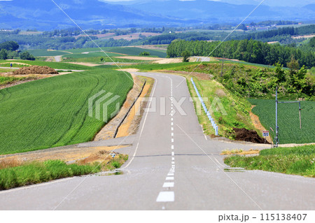 初夏の北海道美瑛町の風景 115138407