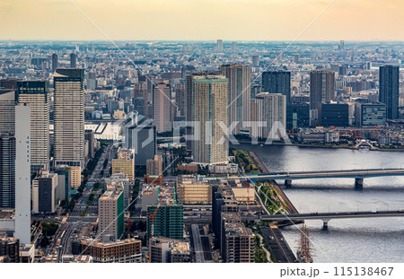 Aerial view of Odaiba Harbor in Tokyo, Japan 115138467