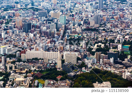 Aerial view of Minato, Tokyo, Japan Aerial view of Minato, Tokyo, Japan 115138500