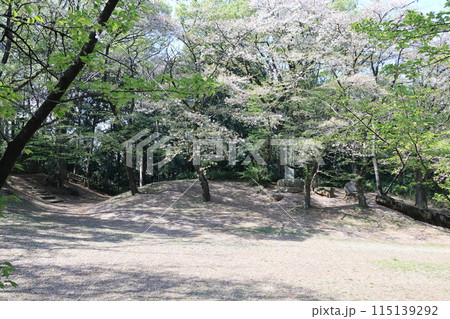 さいたま市の岩槻城址公園 115139292