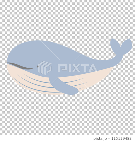 Light colored cute whale illustration 115139482