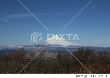 蘆ノ湖スカイラインからの富士山 蘆ノ湖スカイラインからの富士山 115139491