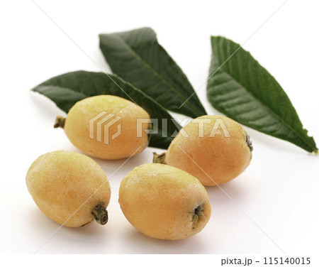 初夏の味覚　びわ （香川県産） 白背景 115140015