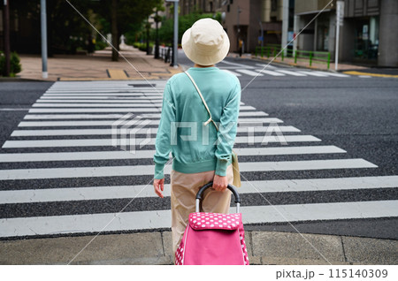 ショッピングキャリーを引いて歩くシニアの女性 115140309