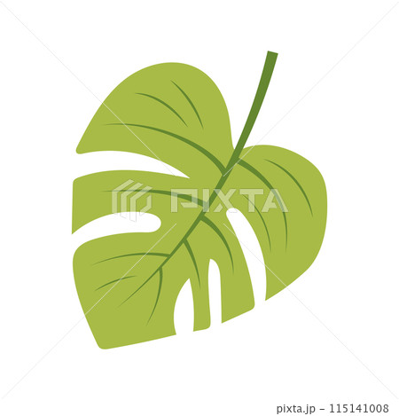 Cute green tropical leaf. Monstera leaf icon. Vector illustration isolated 115141008