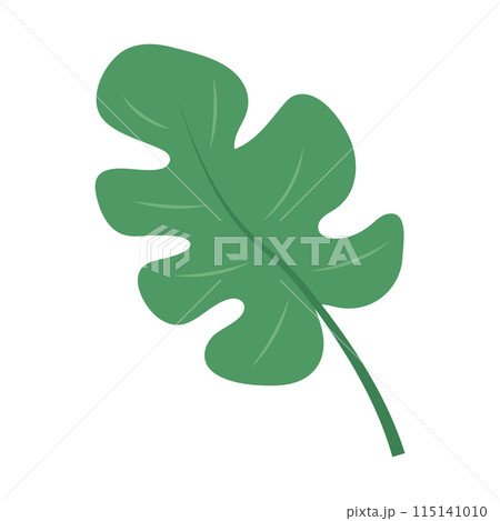 Cute green tropical leaf. Monstera leaf icon. Vector illustration isolated Cute green tropical leaf. Monstera leaf icon. Vector illustration isolated 115141010