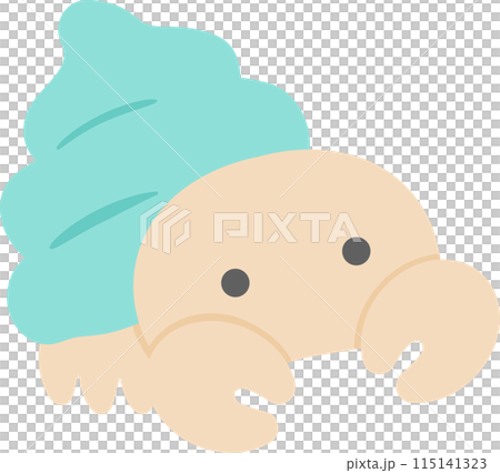 Hermit crab vector illustration material_green seashell Hermit crab vector illustration material_green seashell 115141323