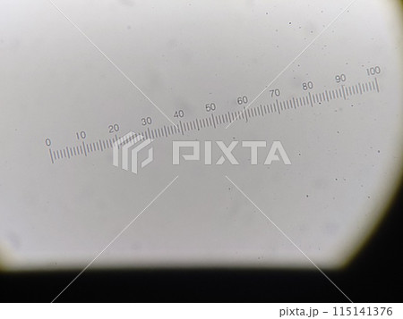 接眼ミクロメータの様子 接眼ミクロメータの様子 115141376