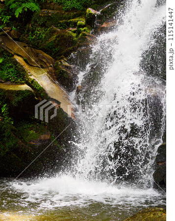 滝 水の流れ 115141447