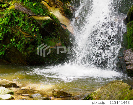 滝 水の流れ 115141448