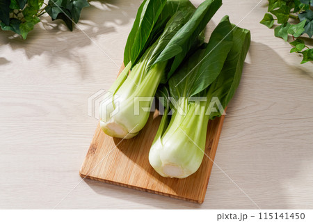 チンゲン菜 115141450