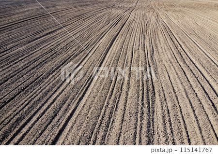 Plowed agricultural field, aerial view. Agricultural land. 115141767