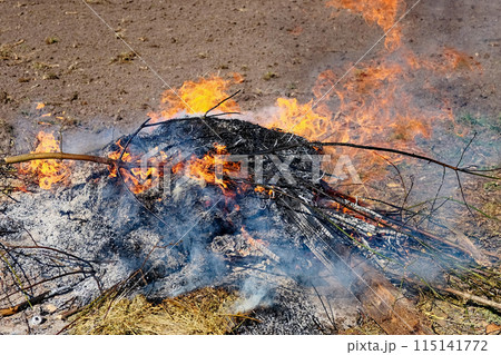 The image captures a small but intense fire burning on the ground. The image captures a small but intense fire burning on the ground. 115141772