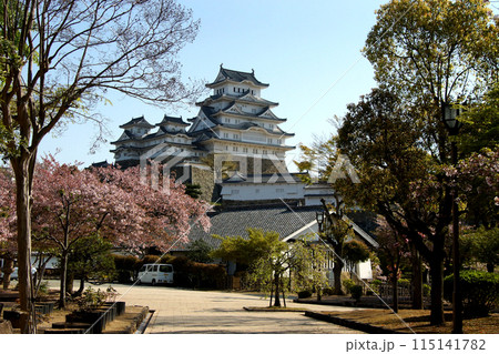 姫路城三の丸高台　千姫ぼたん園　春の景観 115141782